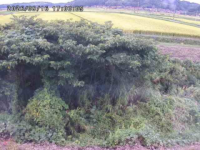 朝鍋川１2026/09/16 18:00:00