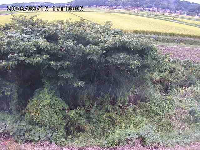 朝鍋川１2026/09/16 18:00:00