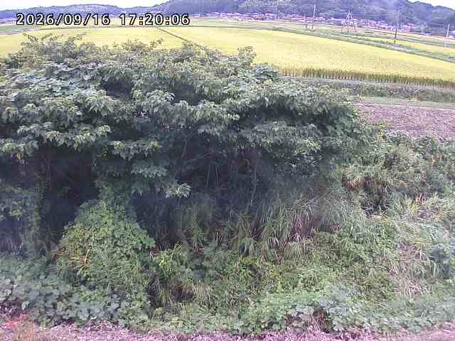 朝鍋川１2026/09/16 18:00:00