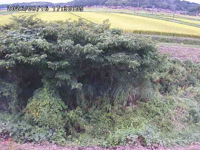 朝鍋川１2026/09/16 18:00:00