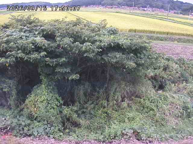 朝鍋川１2026/09/16 18:00:00