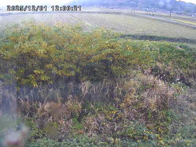 朝鍋川１2025/12/02 12:10:00