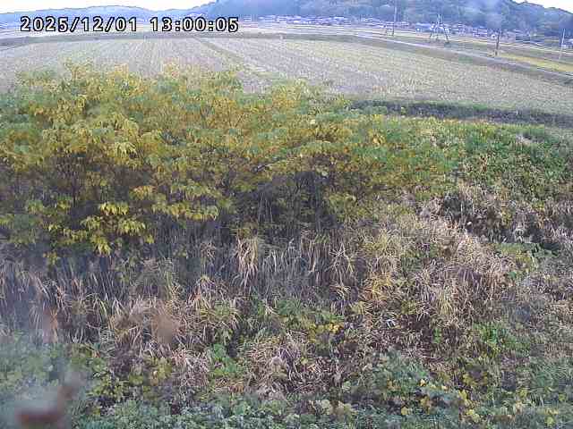朝鍋川１2025/12/02 12:10:00