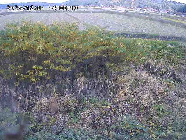 朝鍋川１2025/12/02 12:10:00