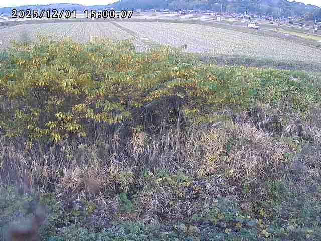 朝鍋川１2025/12/02 12:10:00