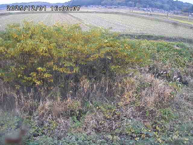 朝鍋川１2025/12/02 12:10:00