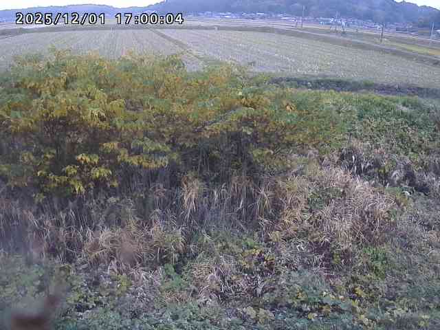 朝鍋川１2025/12/02 12:10:00