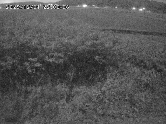 朝鍋川１2025/12/02 12:10:00