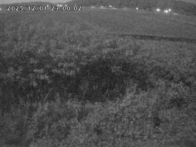 朝鍋川１2025/12/02 12:10:00