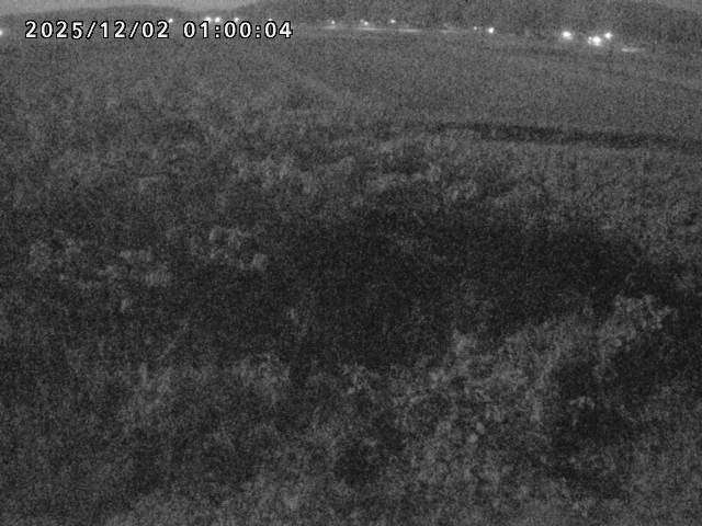 朝鍋川１2025/12/02 12:10:00