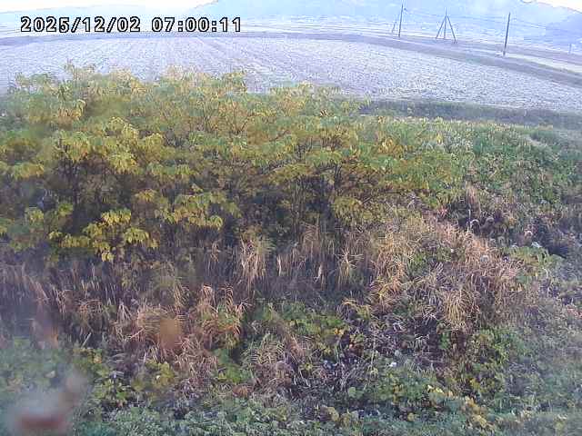 朝鍋川１2025/12/02 12:10:00