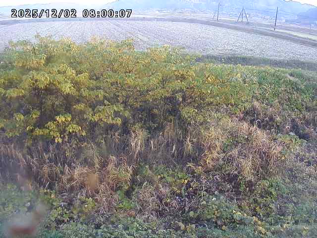 朝鍋川１2025/12/02 12:10:00