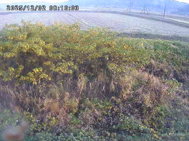 朝鍋川１2025/12/02 12:10:00
