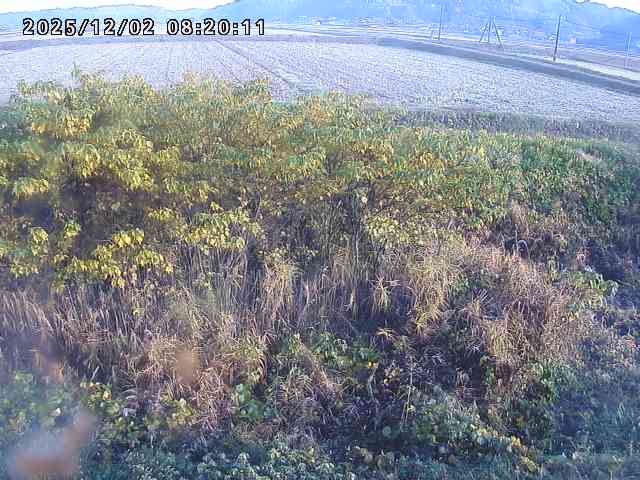 朝鍋川１2025/12/02 12:10:00