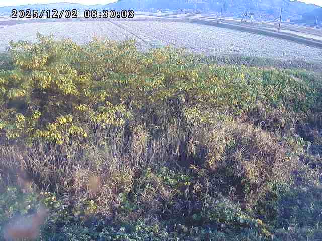 朝鍋川１2025/12/02 12:10:00