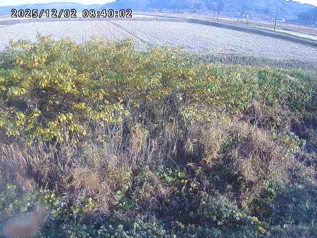 朝鍋川１2025/12/02 12:10:00
