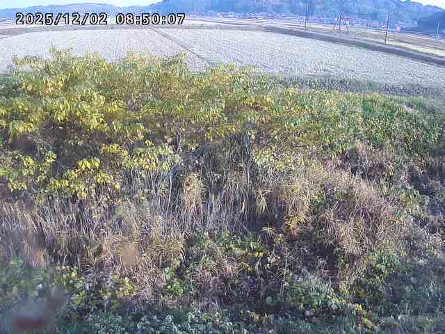朝鍋川１2025/12/02 12:10:00