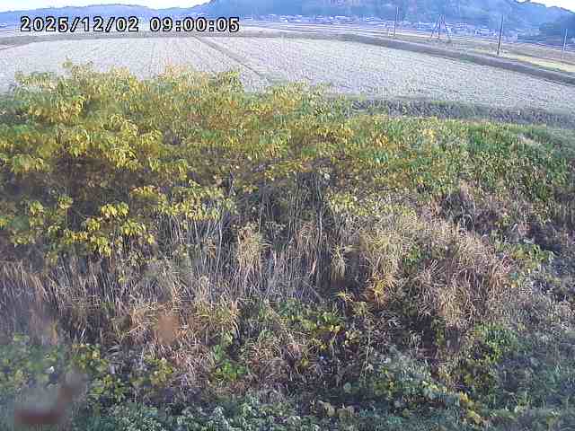 朝鍋川１2025/12/02 12:10:00