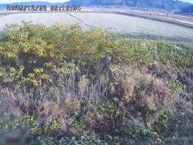 朝鍋川１2025/12/02 12:10:00
