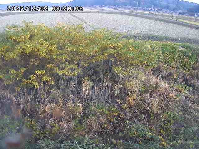 朝鍋川１2025/12/02 12:10:00