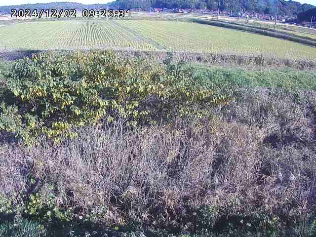 朝鍋川１2025/12/02 12:10:00