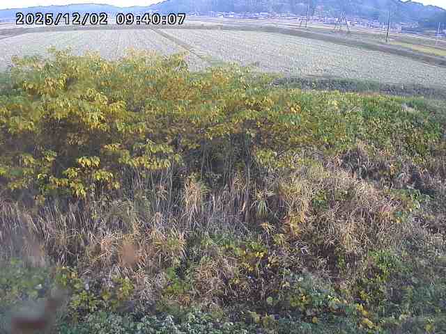 朝鍋川１2025/12/02 12:10:00