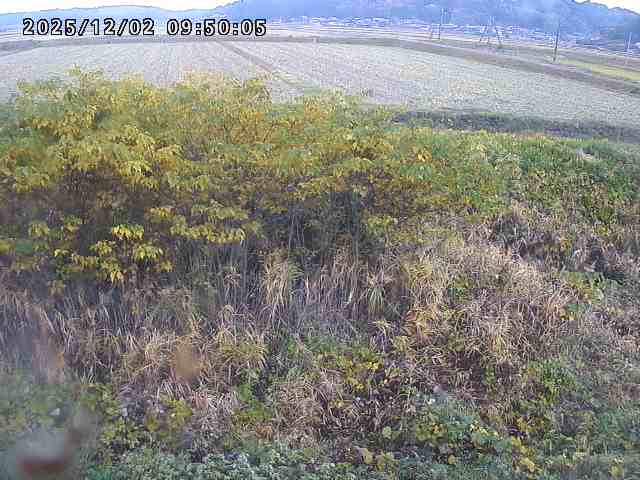 朝鍋川１2025/12/02 12:10:00