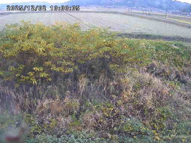 朝鍋川１2025/12/02 12:10:00