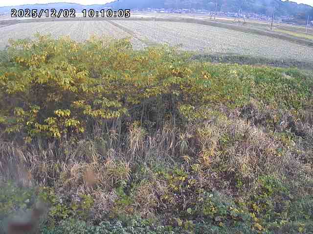 朝鍋川１2025/12/02 12:10:00