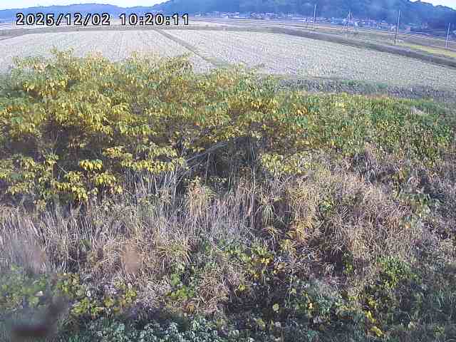 朝鍋川１2025/12/02 12:10:00