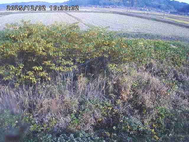 朝鍋川１2025/12/02 12:10:00