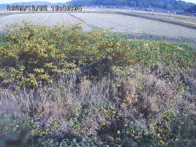 朝鍋川１2025/12/02 12:10:00