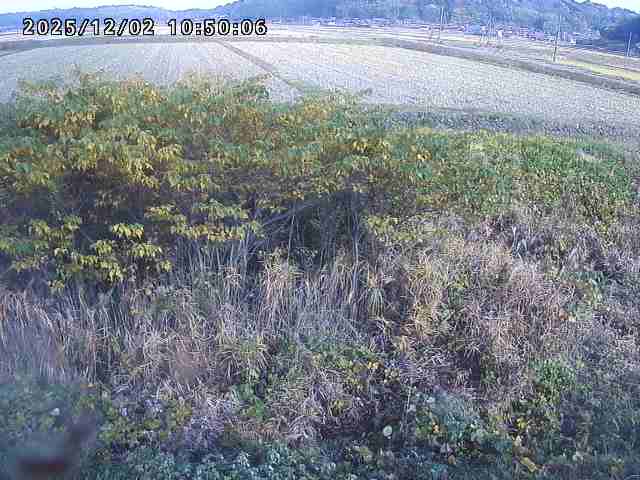 朝鍋川１2025/12/02 12:10:00