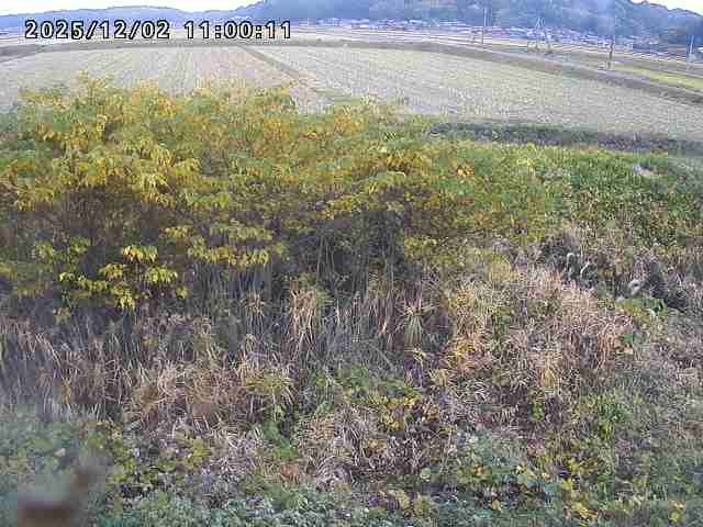 朝鍋川１2025/12/02 12:10:00