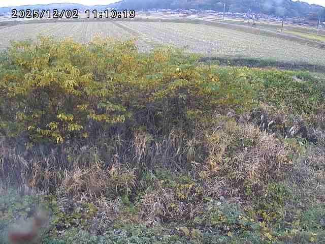 朝鍋川１2025/12/02 12:10:00