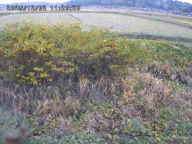 朝鍋川１2025/12/02 12:10:00