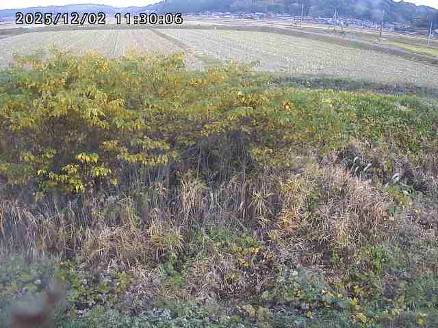 朝鍋川１2025/12/02 12:10:00