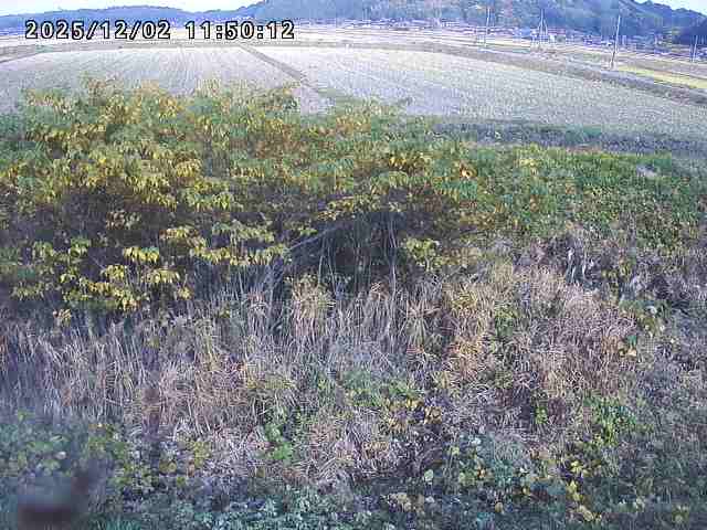 朝鍋川１2025/12/02 12:10:00