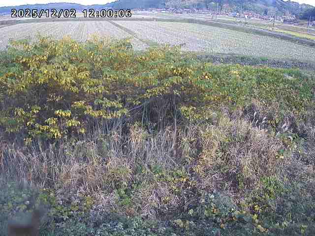 朝鍋川１2025/12/02 12:10:00