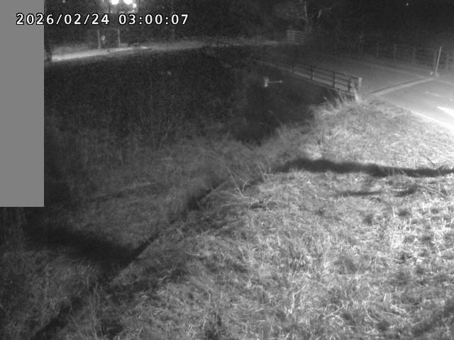 妻木川１2026/02/25 2:40:00