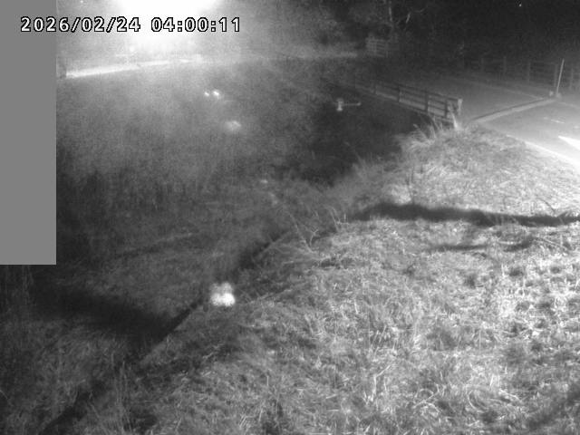 妻木川１2026/02/25 2:40:00