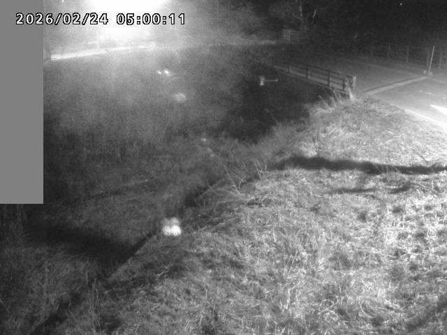 妻木川１2026/02/25 2:40:00