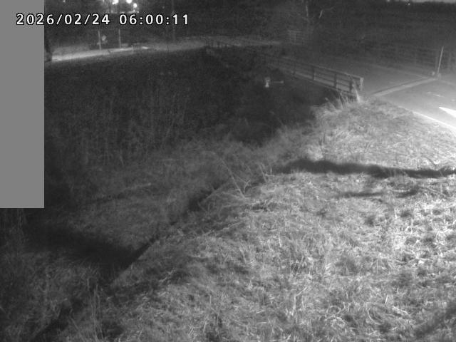 妻木川１2026/02/25 2:40:00