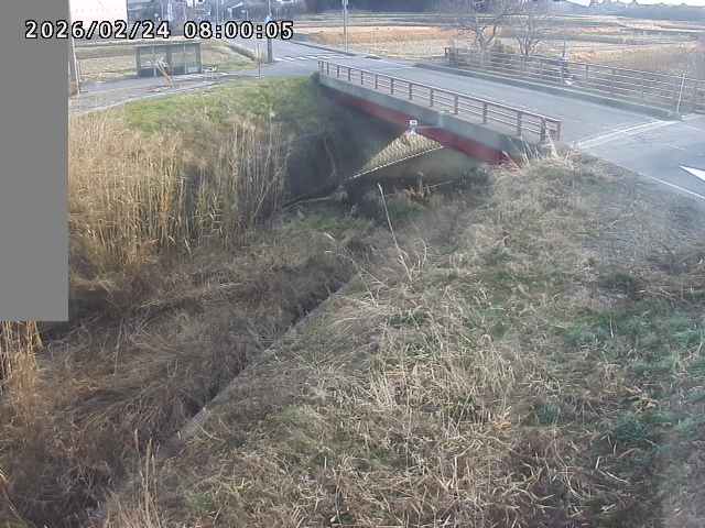 妻木川１2026/02/25 2:40:00