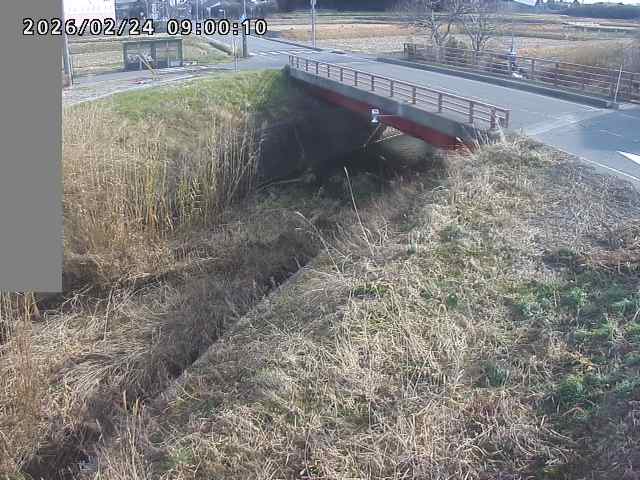 妻木川１2026/02/25 2:40:00