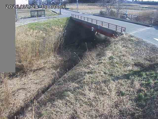 妻木川１2026/02/25 2:40:00