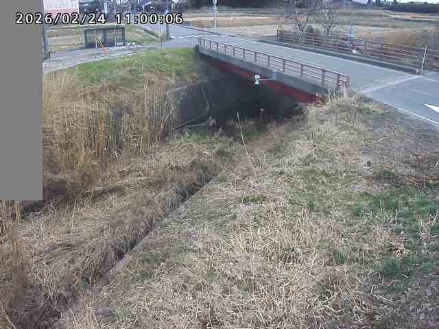 妻木川１2026/02/25 2:40:00