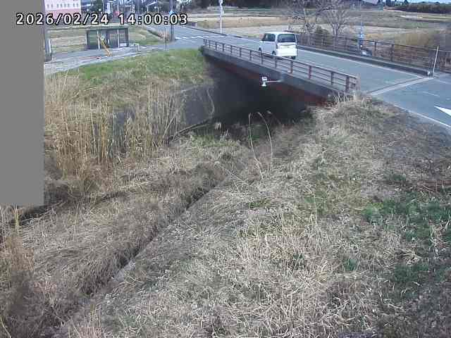 妻木川１2026/02/25 2:40:00