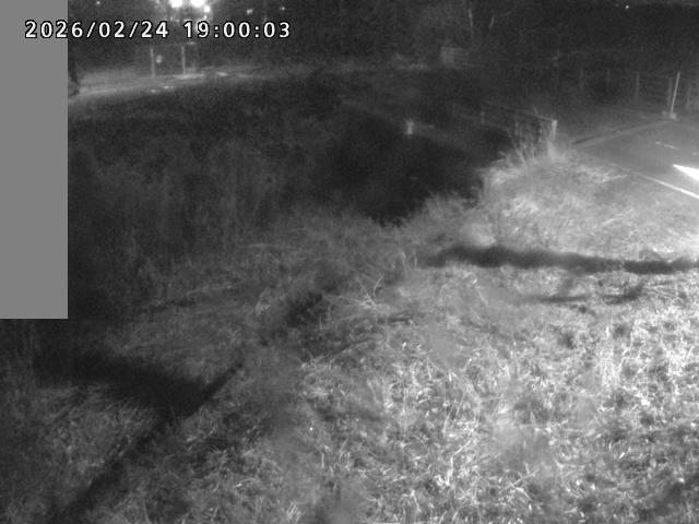 妻木川１2026/02/25 2:40:00