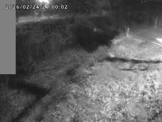 妻木川１2026/02/25 2:40:00